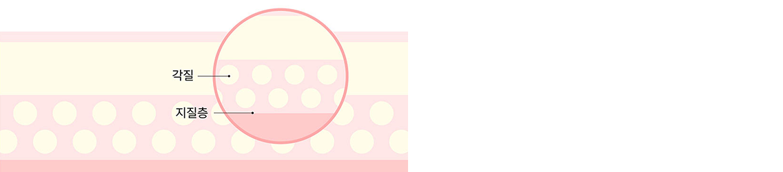 Lipids